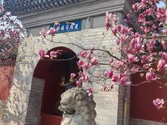 -红螺寺