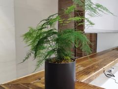 靠窗位-成川茶店·潮汕工夫浓茶(万象店)