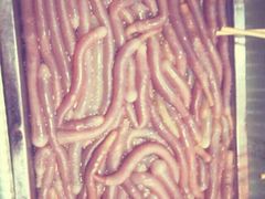 长青路贾记海鲜是烧烤-覃记海鲜美食餐厅