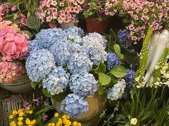 -双季花艺园艺市场(浦东店)