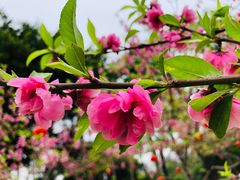 -船政文化景区-罗星塔公园