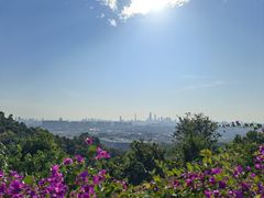 -火炉山森林公园
