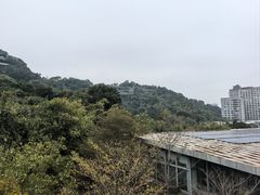 -福道