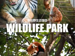 -西安秦岭野生动物园