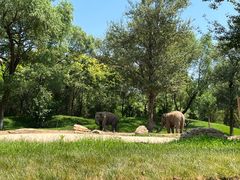 -北京野生动物园