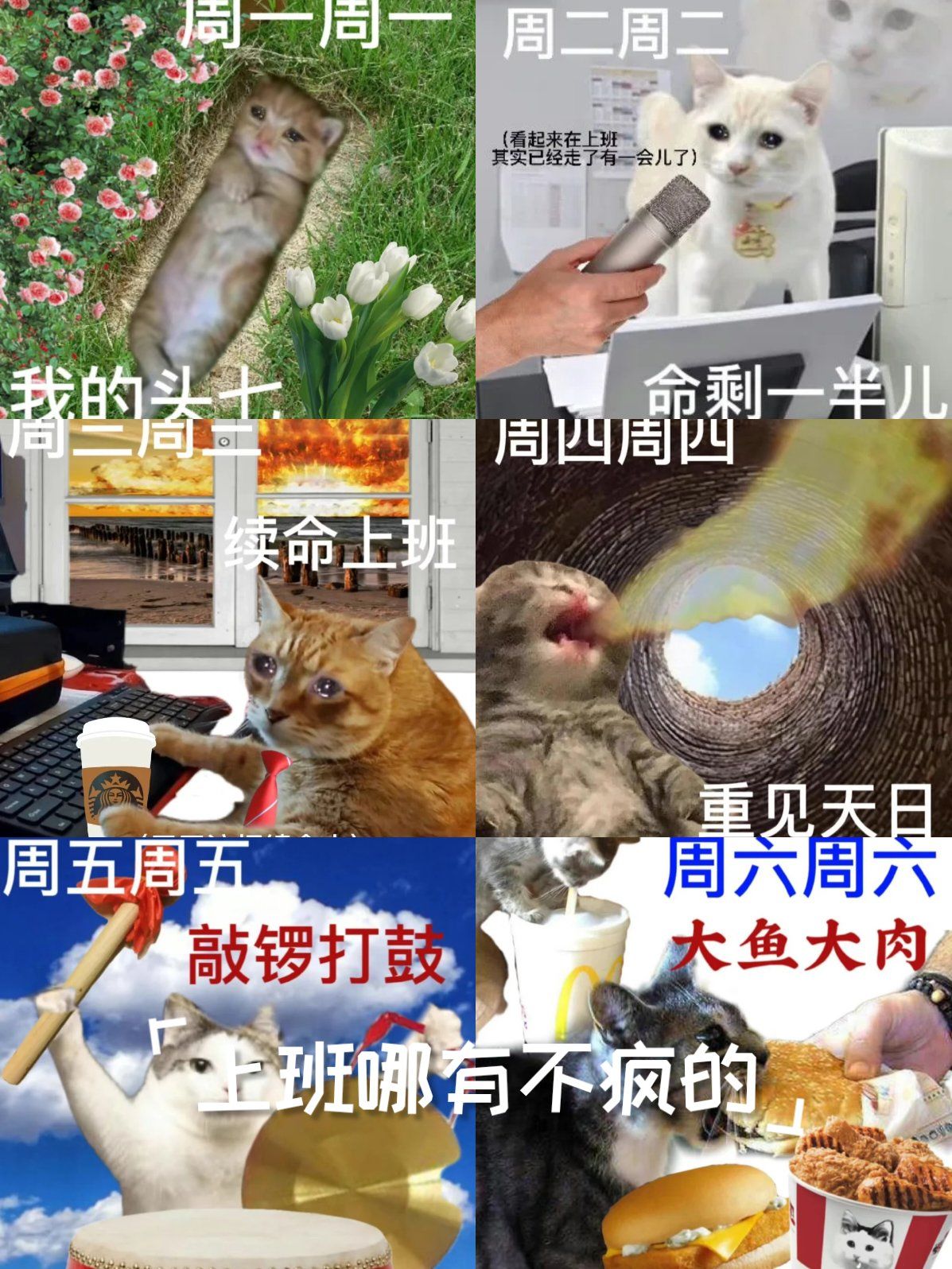 0元玩转这座城囤的表情包