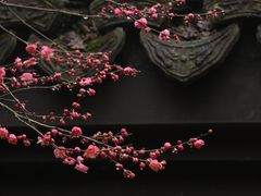 -慧因高丽寺