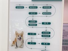 -瑞派康怡24h宠物医院·犬猫医疗中心·微创绝育(瑞景分院)