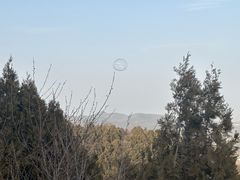 -北京西山国家森林公园