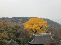 -穹窿山景区