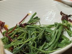 山茶油丝瓜尖-清水亭湖北菜(大屯DT51店)