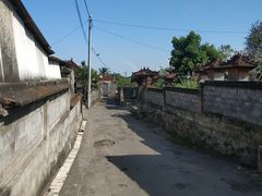 -乌布德传统市场