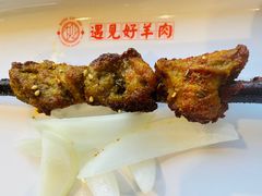 羊羔肉烤串-红柳枝滩羊烧烤·非遗