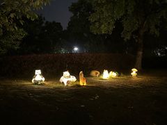 -太湖饭店玉兰厅(自助餐厅)