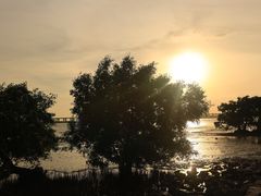 -宝安西湾红树林湿地公园