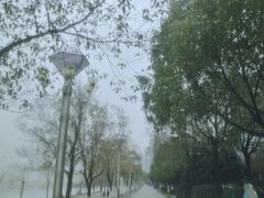 -武昌江滩