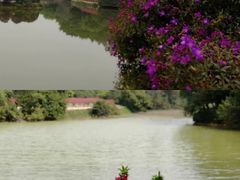 -南国桃园旅游度假区