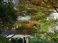 -杭州西子湖四季酒店-WL BISTRO西湖餐厅(灵隐路店)
