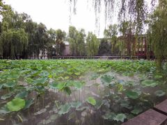 -四川大学(望江校区)