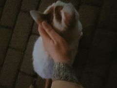 -老外街