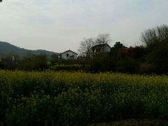 android_upload_pic-石塘人家