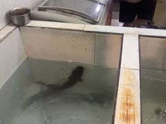 -贡椒鱼老店·雅安十大名店