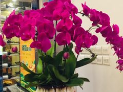 -Longchamp(佛罗伦萨小镇奥特莱斯店)