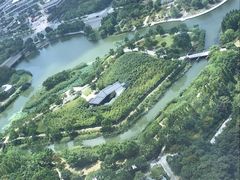 -嘉定凯悦·咖啡厅