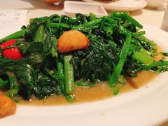 虾酱炒空心菜-肥仔文澳门猪骨煲(南京西路店)