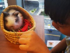 -矢量咖啡(杭州万象城店)