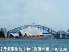 -麦考利夫人座椅