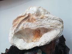 -陈树人纪念馆