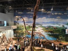 -自贡恐龙博物馆