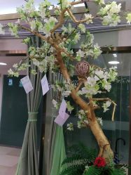 -芳朵美容养生SPA