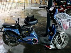 -楚灶王(徐东店)