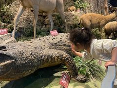 -陕西自然博物馆