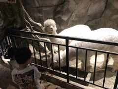 -zoonana室内动物园(东方福来德店)