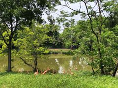 -合肥野生动物园
