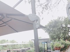 -蘇河湾·新鲁菜·泰山宴(泰山店)
