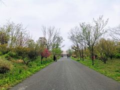 -广富林郊野公园