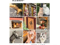 -大雁塔北广场音乐喷泉