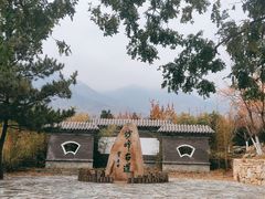 -阳台山自然风景区