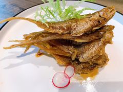 -黛瓦里巷(南京东路店)