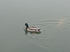 -北京目的地酒吧