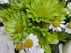 -ChaKo Flora ·茶子花艺 (市北店)