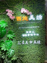 -西施无菌半永久纹绣眉眼影唇轻增发纹发际线
