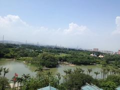 -海上田园