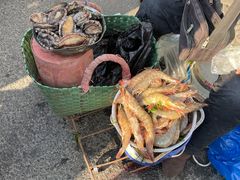 -沙子口大集沙子口海鲜市场