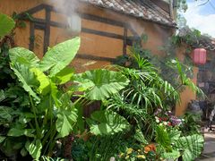 -园林美食城·本土农家菜(杨和镇店)