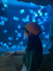 -Zoolung Zoolung动物主题公园(海信广场店)